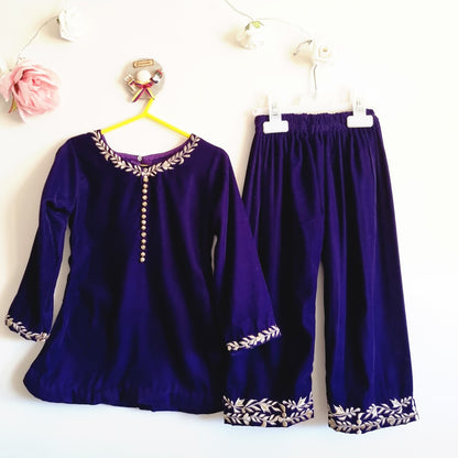 Baby Girl Winter Velvet Dress || Baby Girl Deep Purple Embroidered Velvet Dress